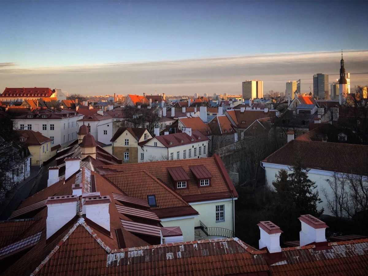 The rooftops of Tallinn old town from above.